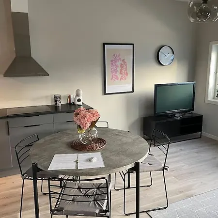 Practical Near Center 公寓